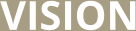 VISION